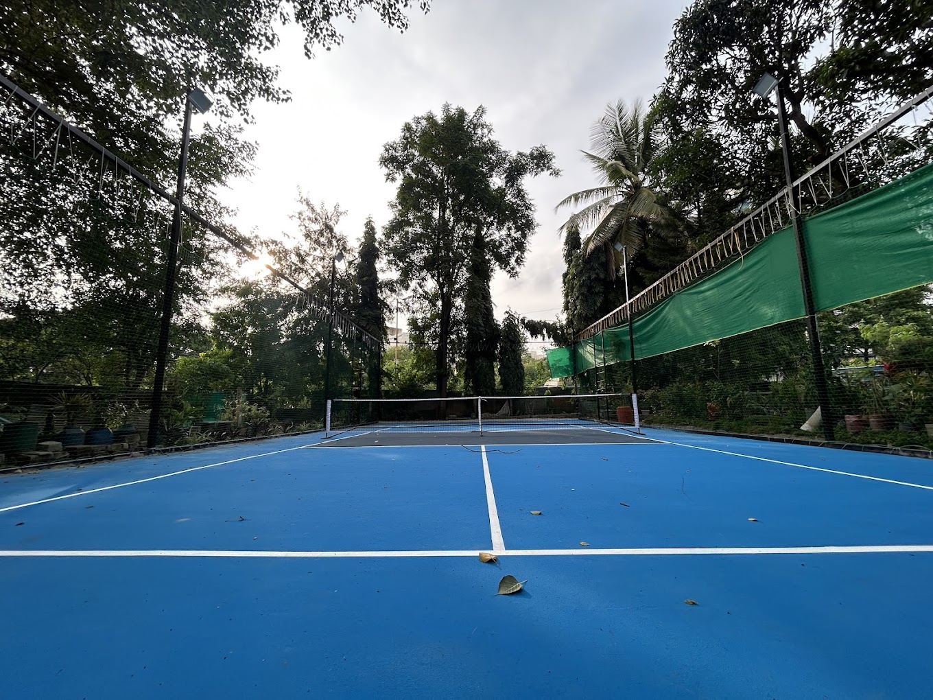 Pickleball Court